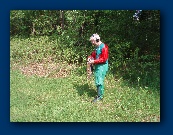 You must have noticed, I'm very eco friendly